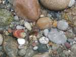 A rocky beach on Block Island, R.I.