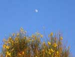 The moon rising on the flanks of Stromboli