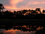 A sunset from the back yard