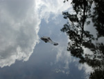 'Gator in the sky. You may notice that I took a lot of pictures of the alligator. Hey, I grew up way north of here, plus I'm a bit of a nature nerd. Cut me some slack.