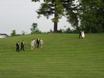 At the reception; here the bridal party is returning from a lakeside photo session