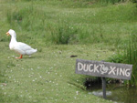 That's one thing I really like about Block Island - consistently accurate signage