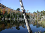 A pond partway up Whiteface