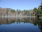 A pond along the Ausable River