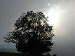 Evening sun over the fields at 2000 m