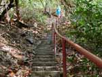 Robyn descending some of the 180 steps down to the beach, river mouth, and nature preserve