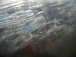 Late afternoon sky reflecting on the wet sand