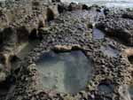 There are a few rocky areas along the beach with great tidepools.