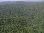 The jungle from above, taken on our flight out. That's [very] approximately where we were hiking.